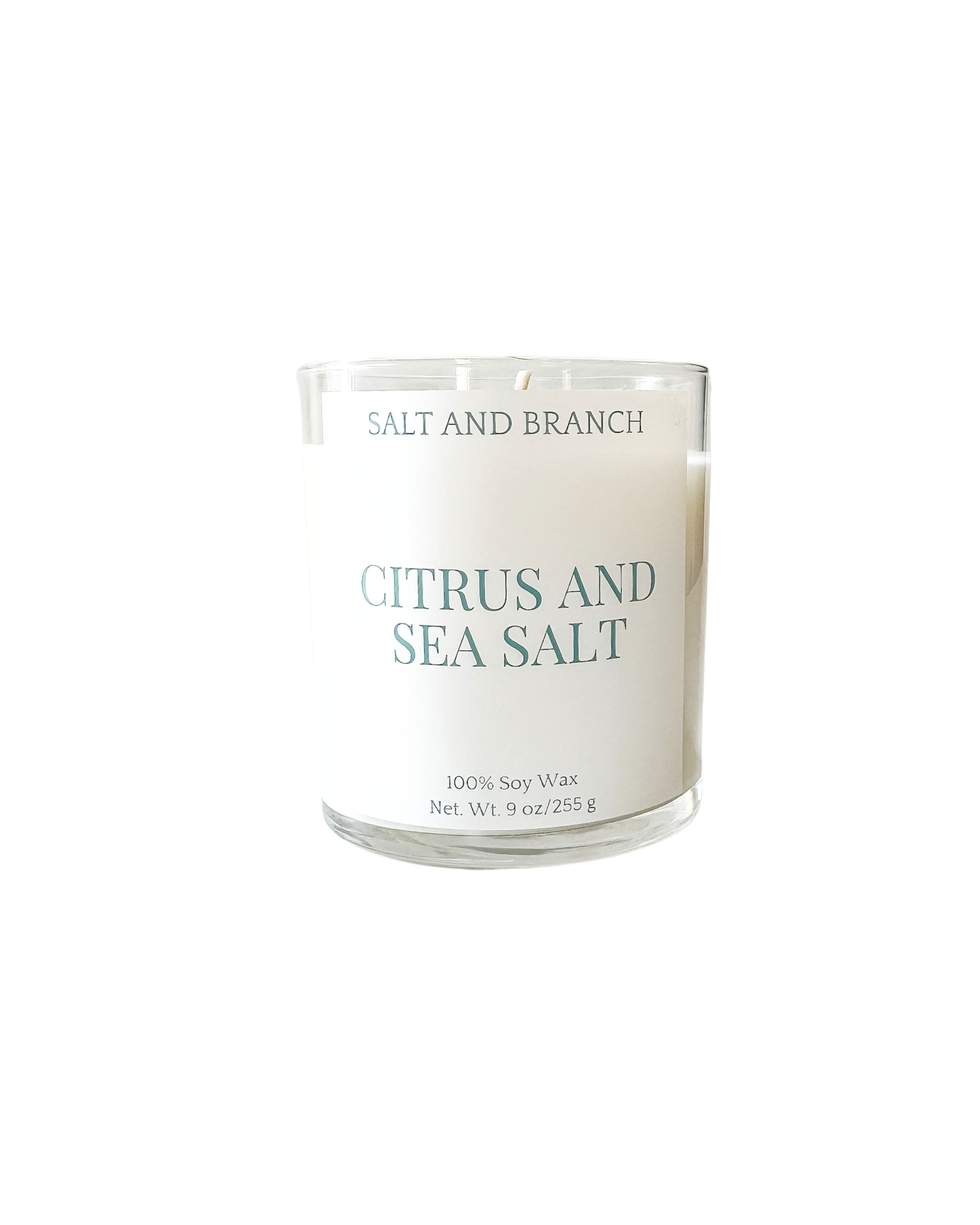 Citrus and Sea Salt Soy Candle with white background, teal Salt and Branch
