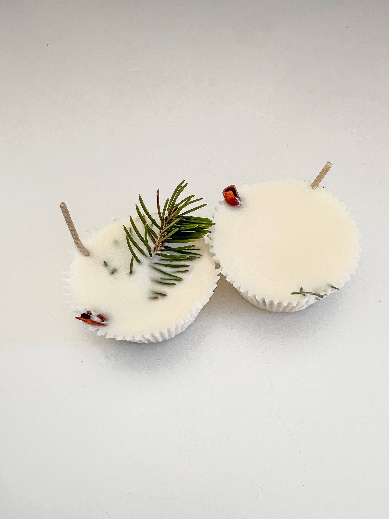 Fire starter soy wax with cinnamon sticks, pine sprigs and cloves