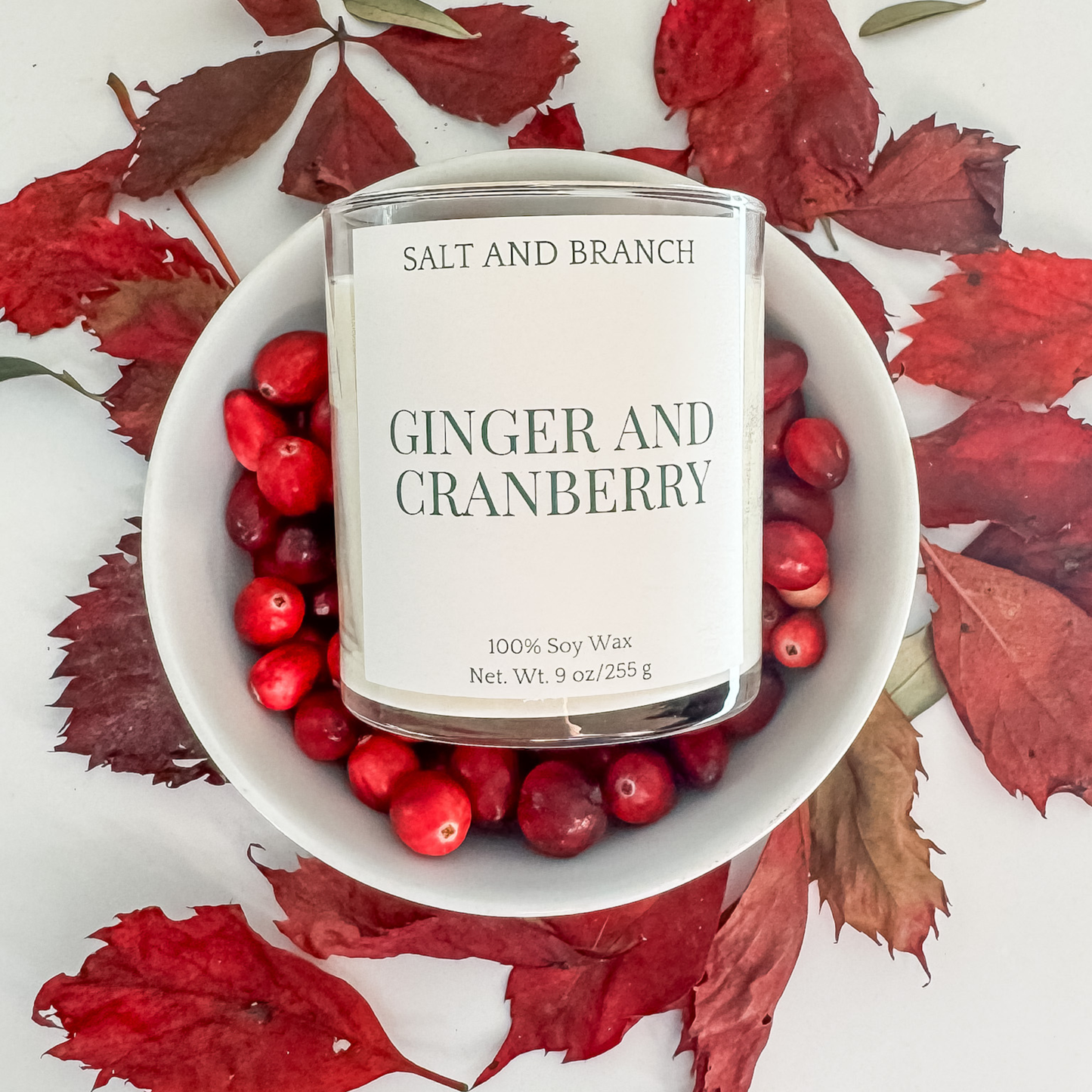 Ginger and Cranberry Soy Candle - Salt and Branch