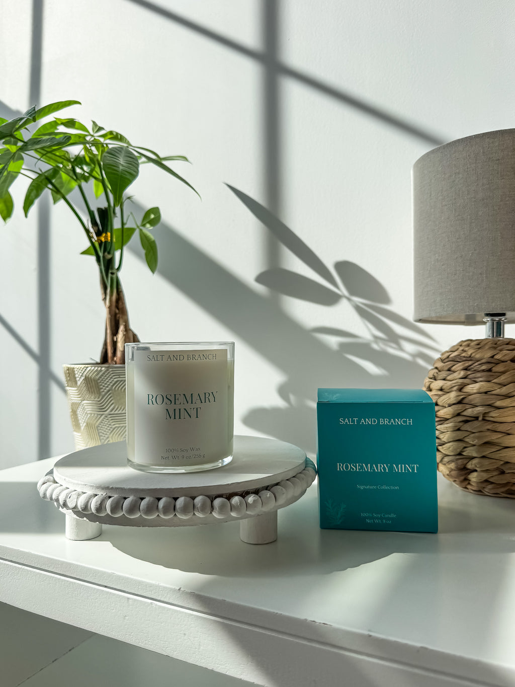 Rosemary Mint soy candle on white table with plant in background Salt and Branch