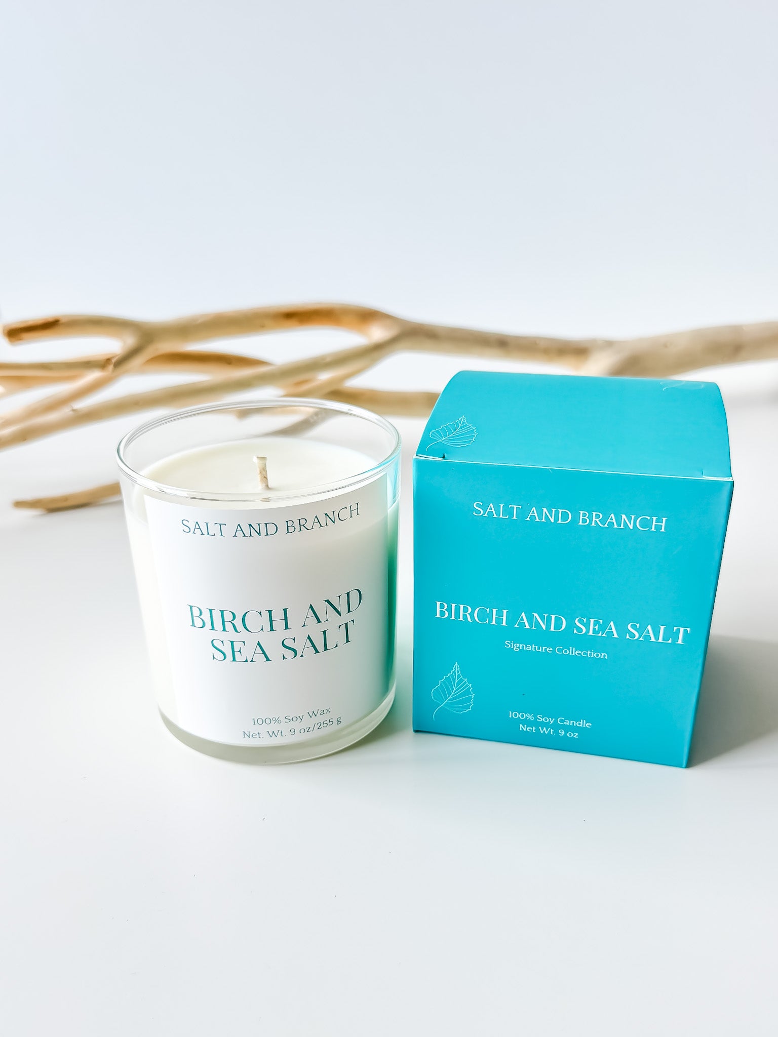 Birch and Sea Salt Soy Candle - Salt and Branch